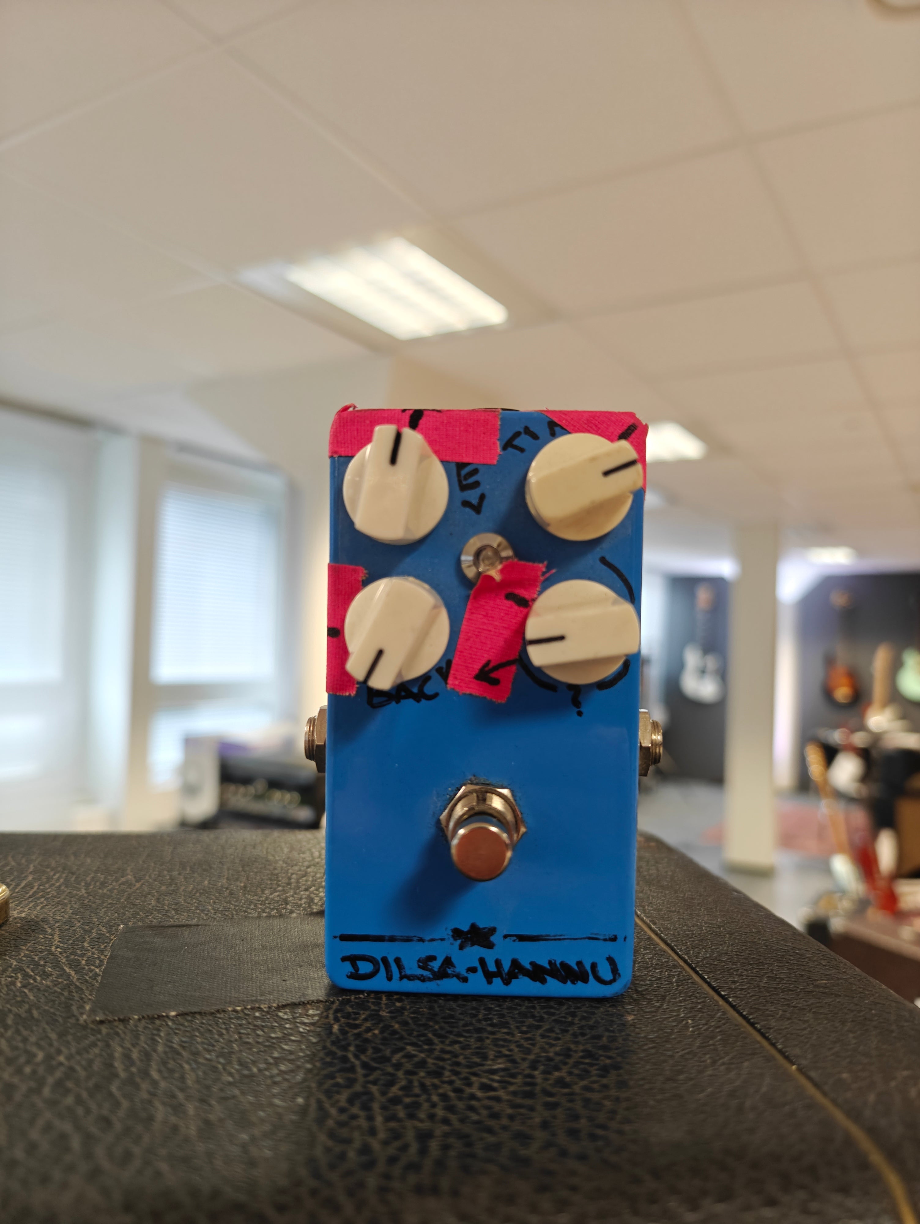 Dilsa-Hannu Analog Delay Custom made for Esa Holopainen of Amorphis