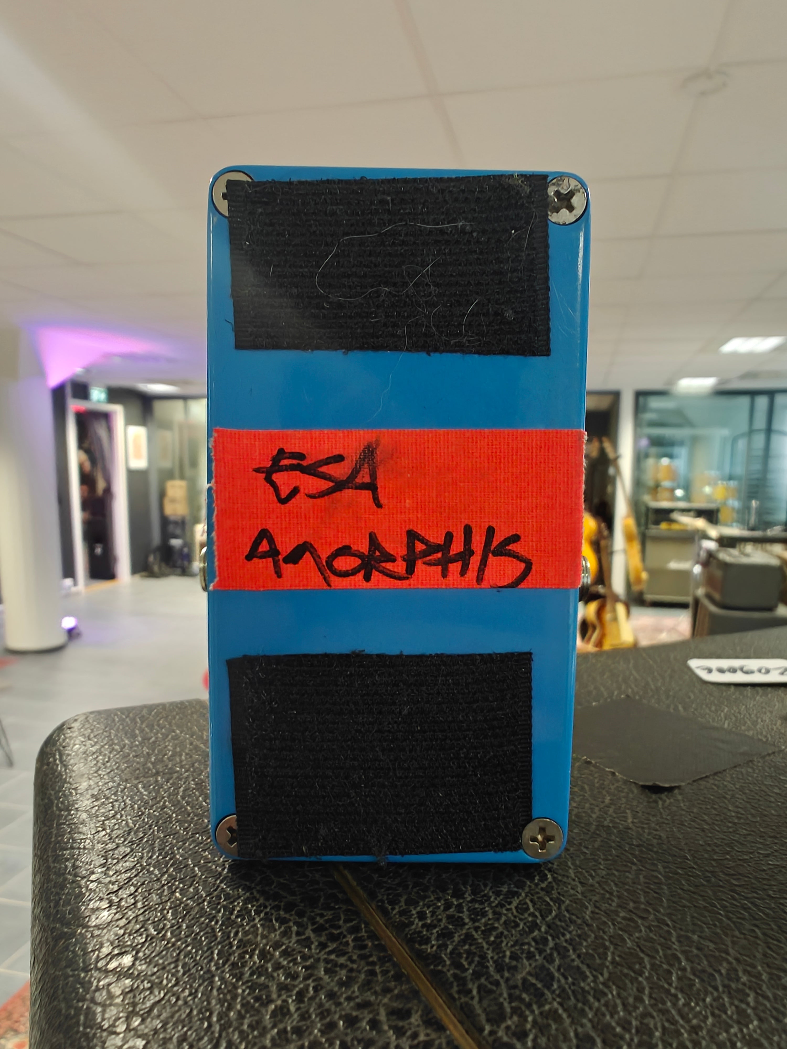 Dilsa-Hannu Analog Delay Custom made for Esa Holopainen of Amorphis