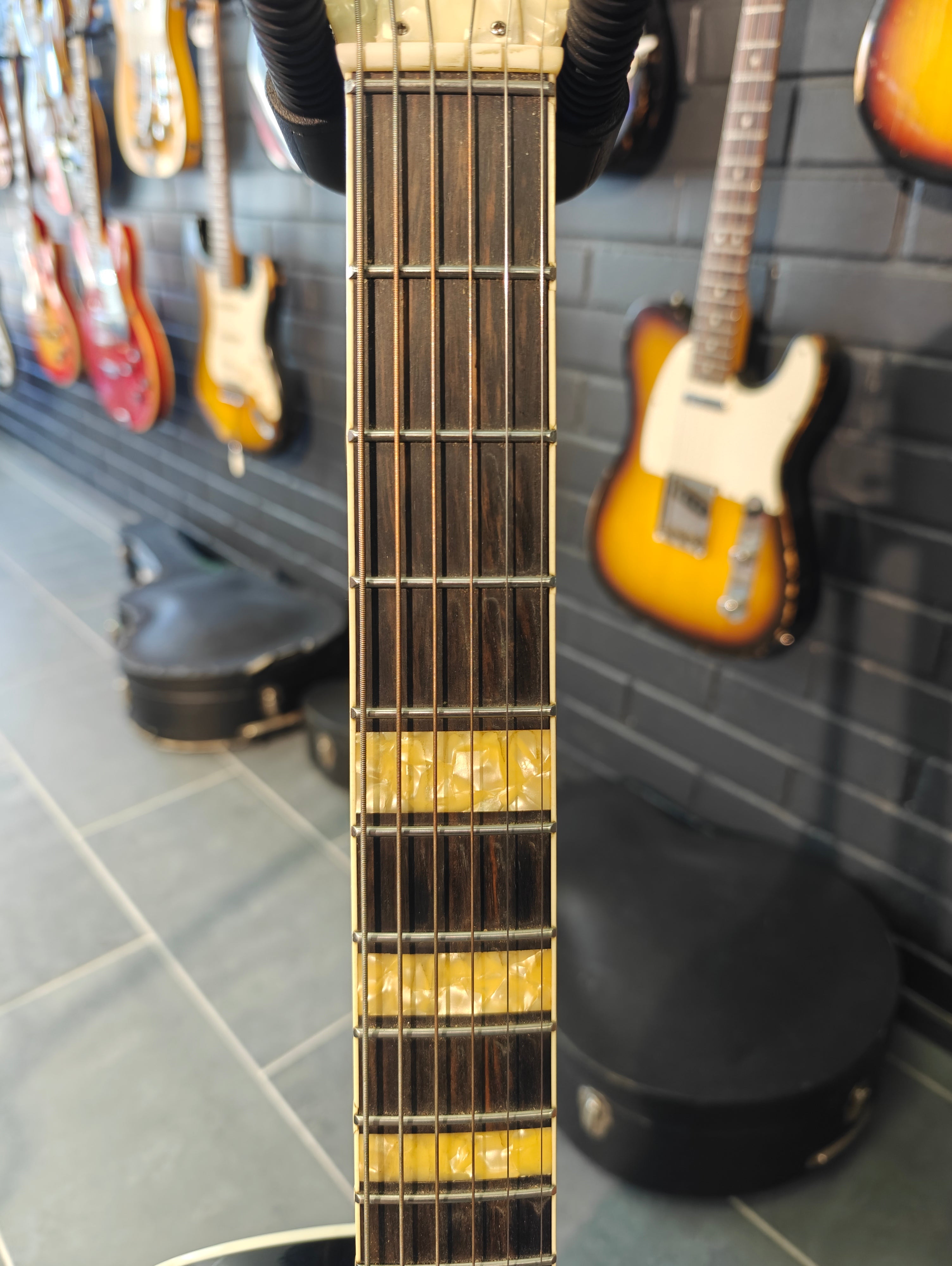 Isana Black Pearl 2018