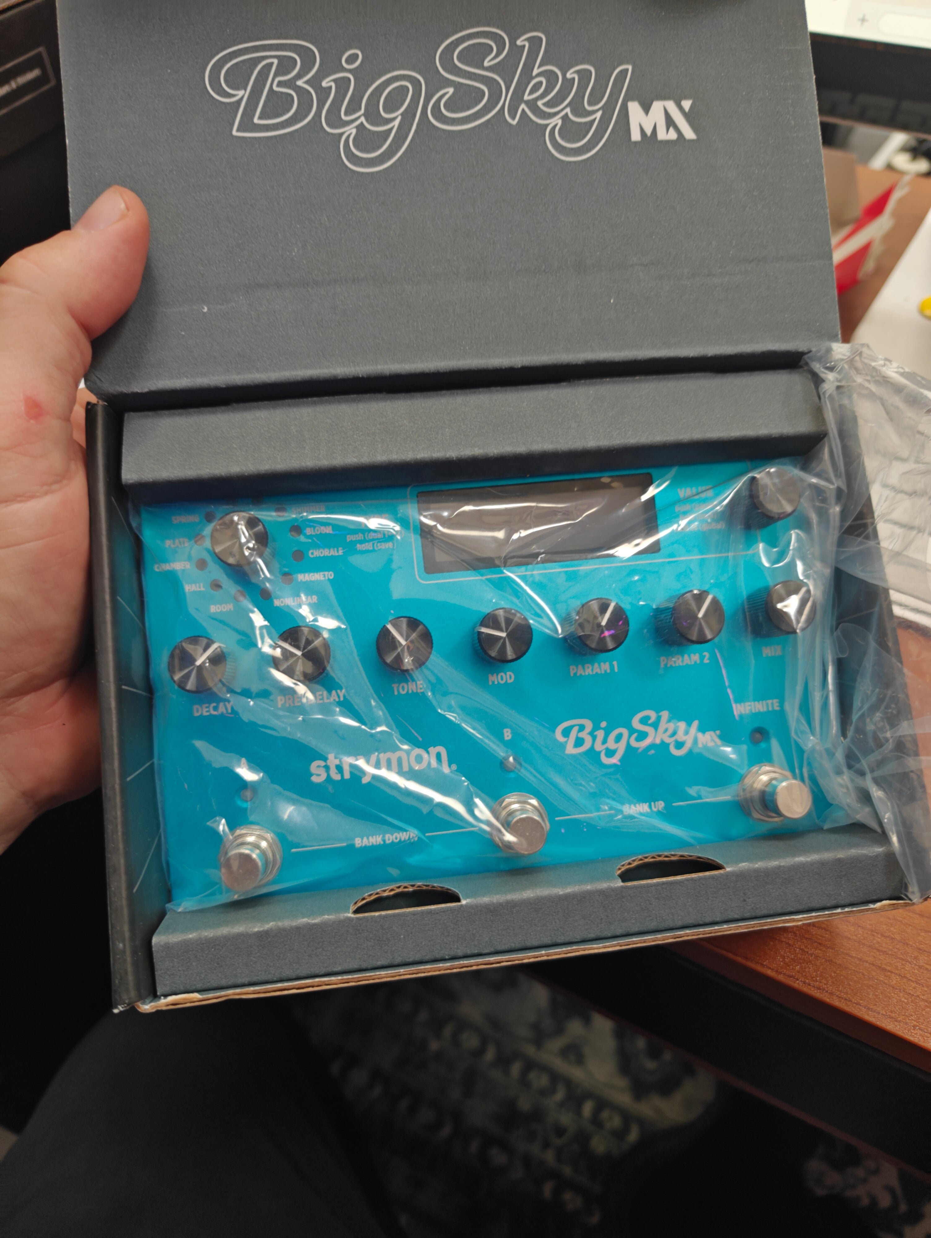 Strymon BigSky MX
