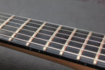 SOLD Aurora Guitars T-Thinline