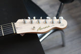 SOLD Aurora Guitars T-Thinline