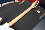SOLD Aurora Guitars T-Thinline