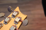 SOLD PRS John Mayer Silver Sky Lunar Ice